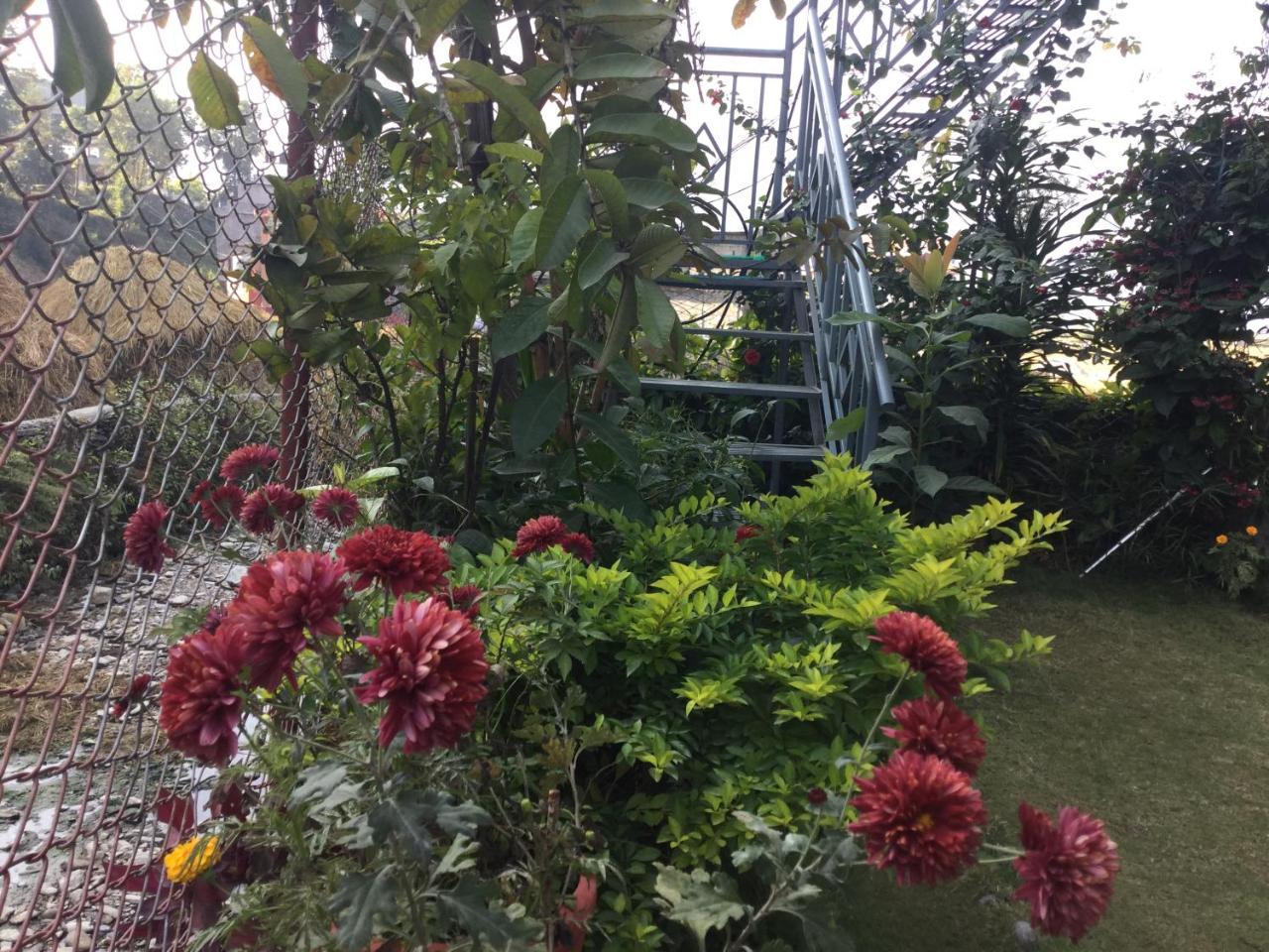 Bishnu Homestay โพคารา ภายนอก รูปภาพ